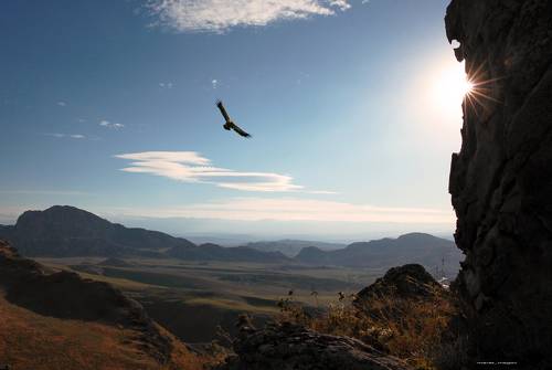 Горние мотивы..