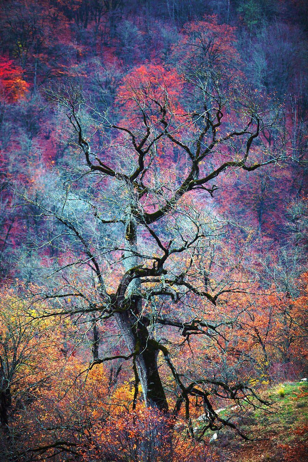 , mehdi karimi souderjani