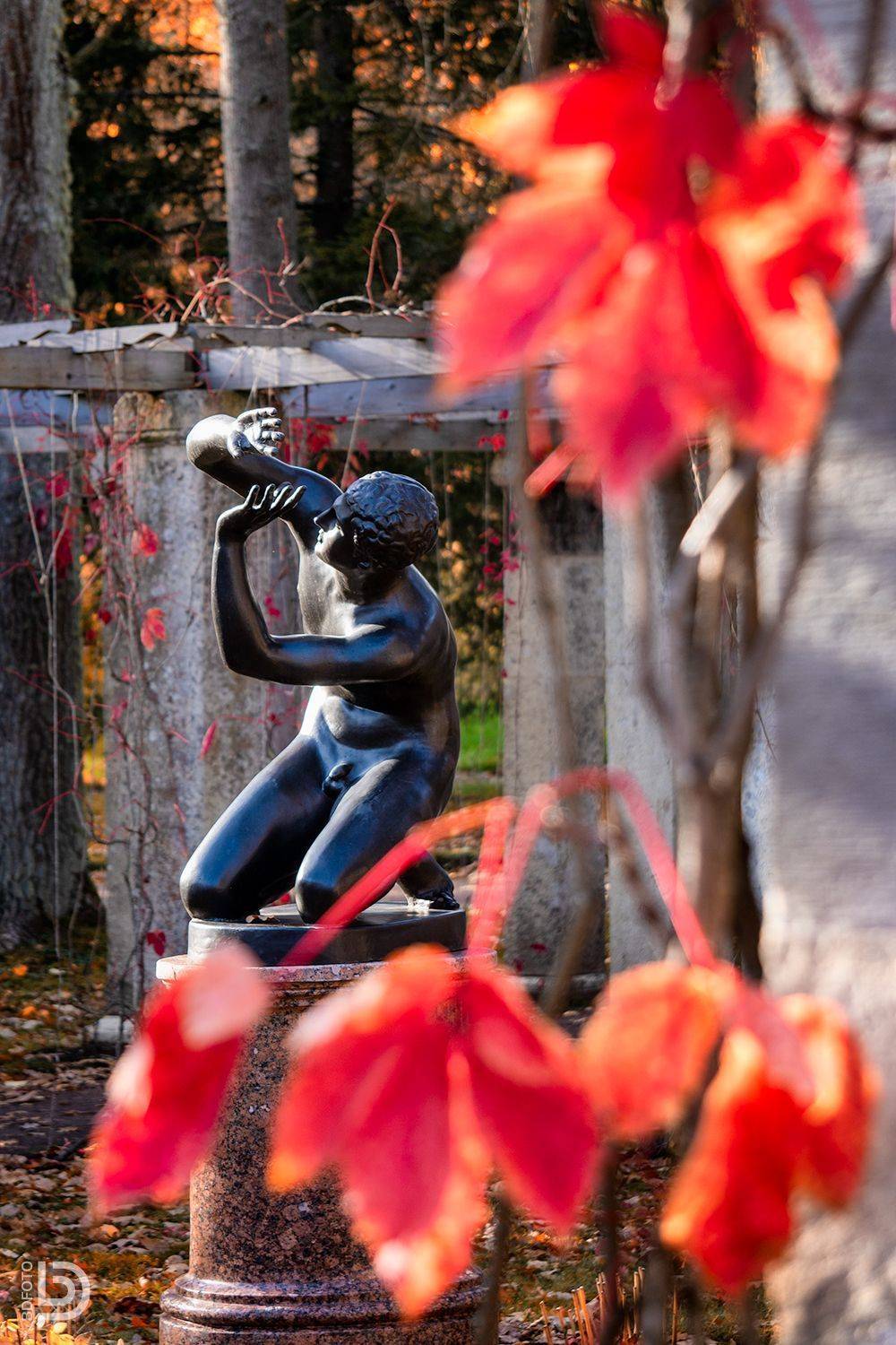 , Дмитрий Бакулин