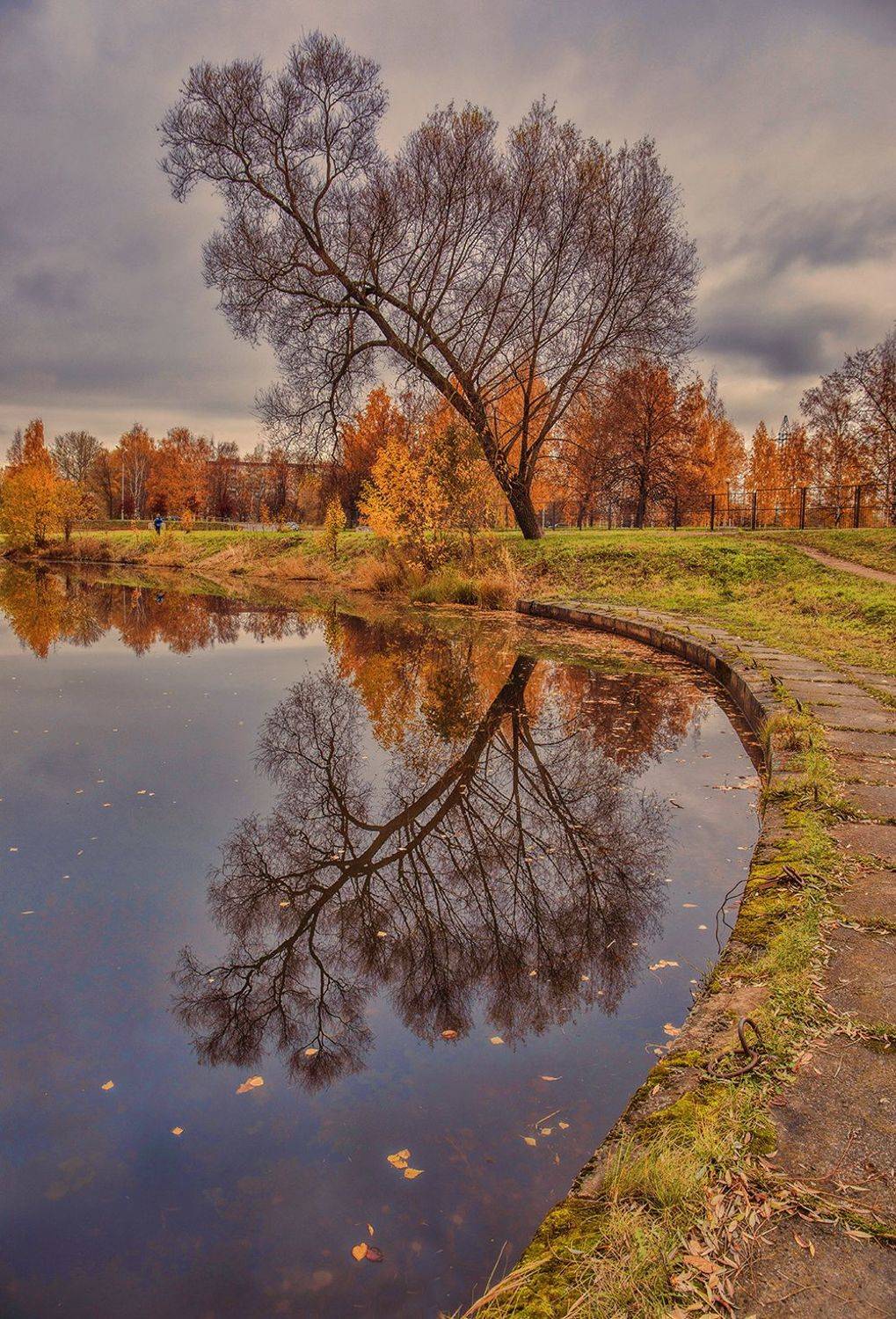 спб,муринский парк,муринский ручей,осень, alexOmRam