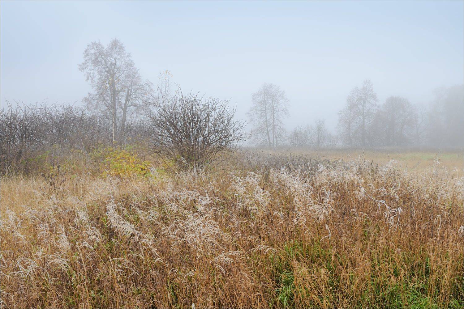 , Анатолий Гулин