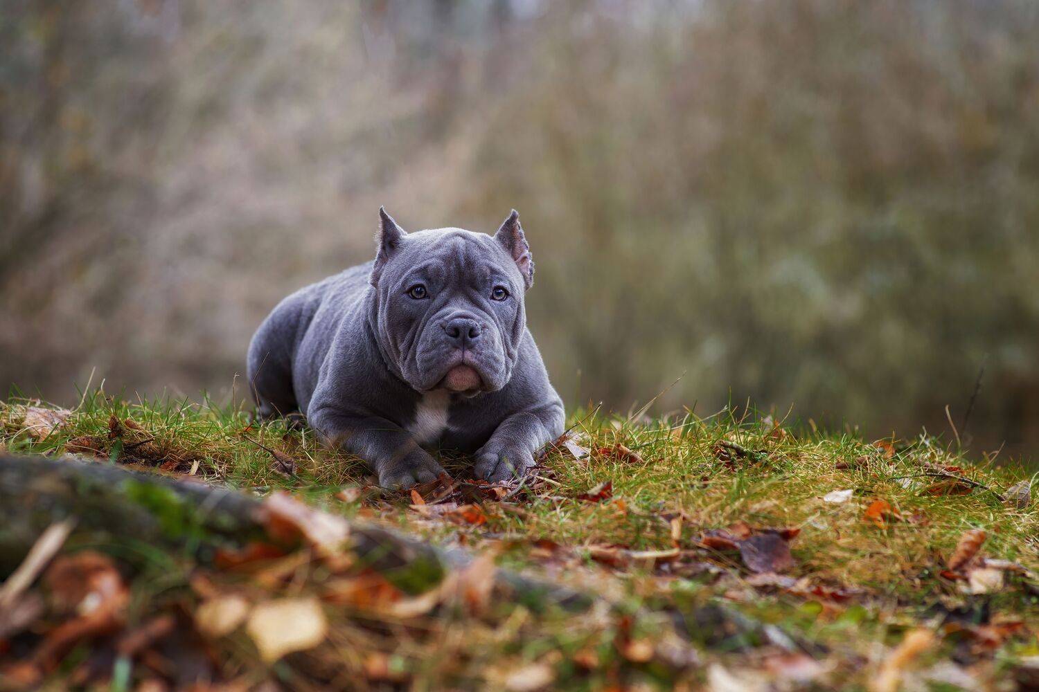 , Кулаков Юрий