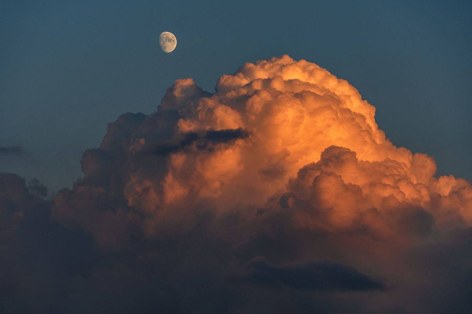 , Васин Сергей