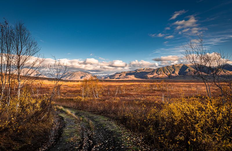 ганальская тундра ,камчатский край ... фото превью
