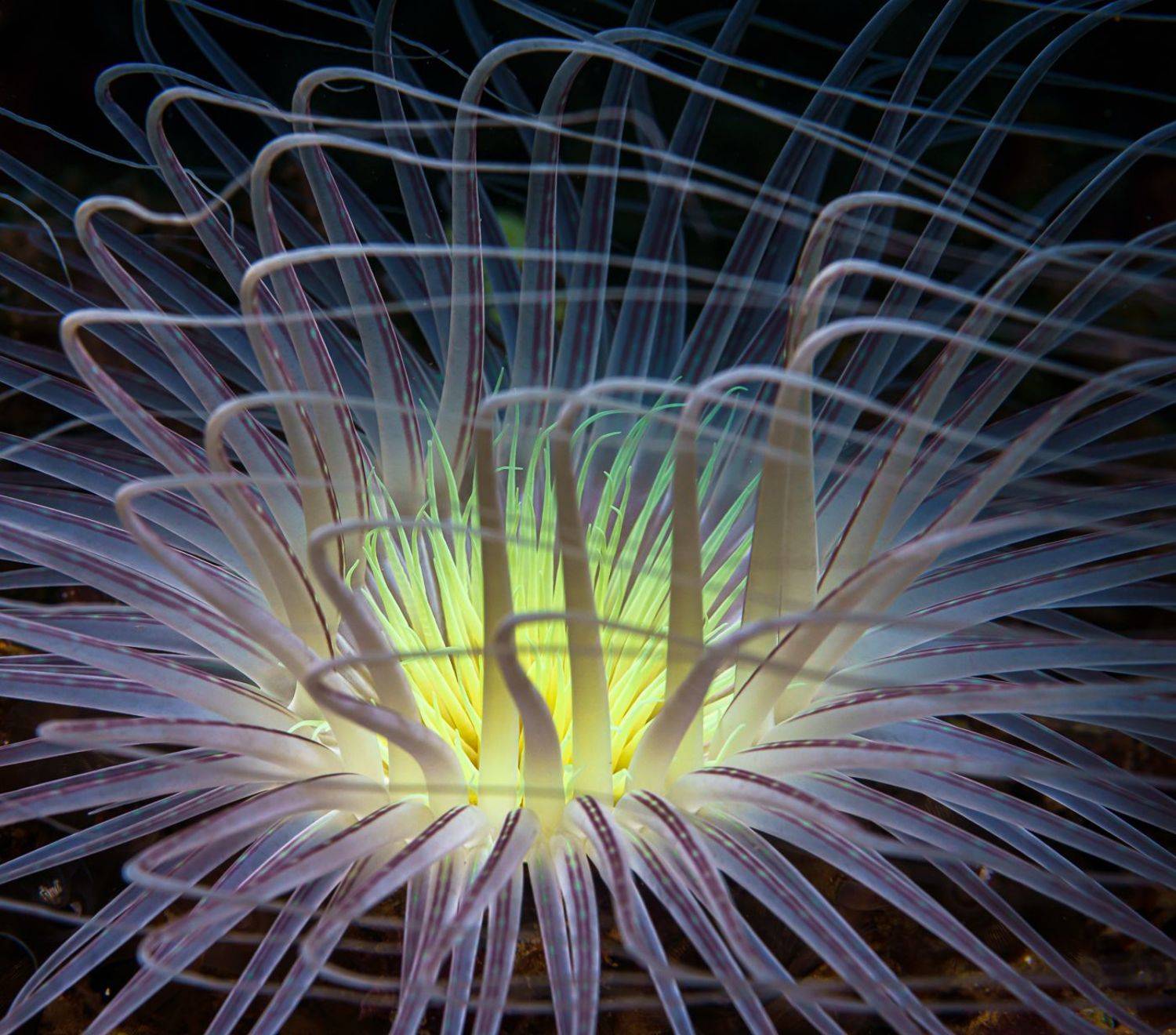 , Савин Андрей