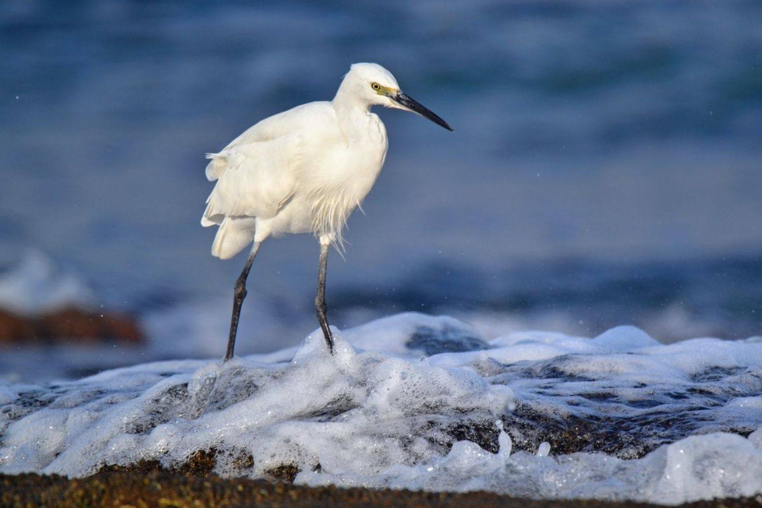 , Людмила Бекман