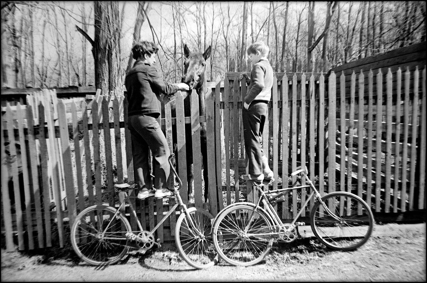 , Меднов Влад