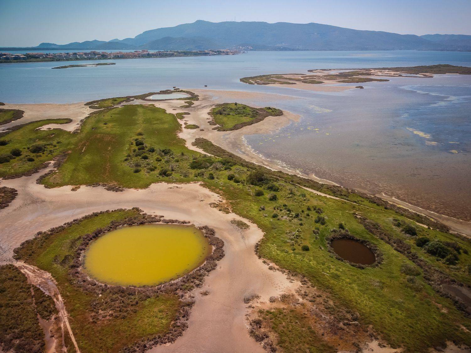 , Максимова Дария