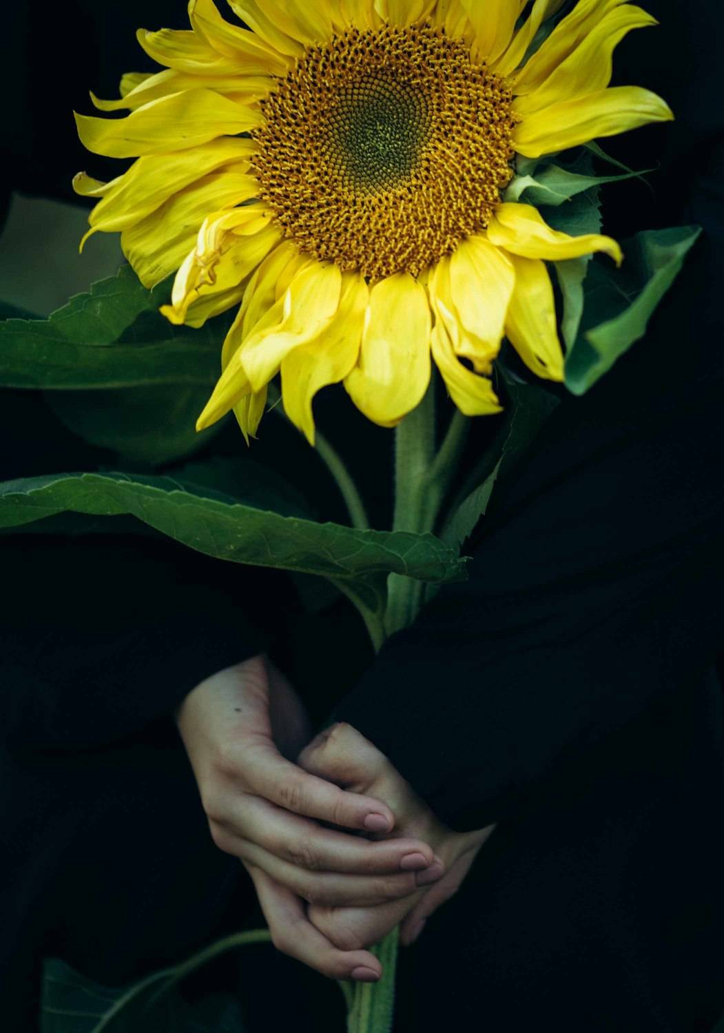 , Klevinskas Nataliya