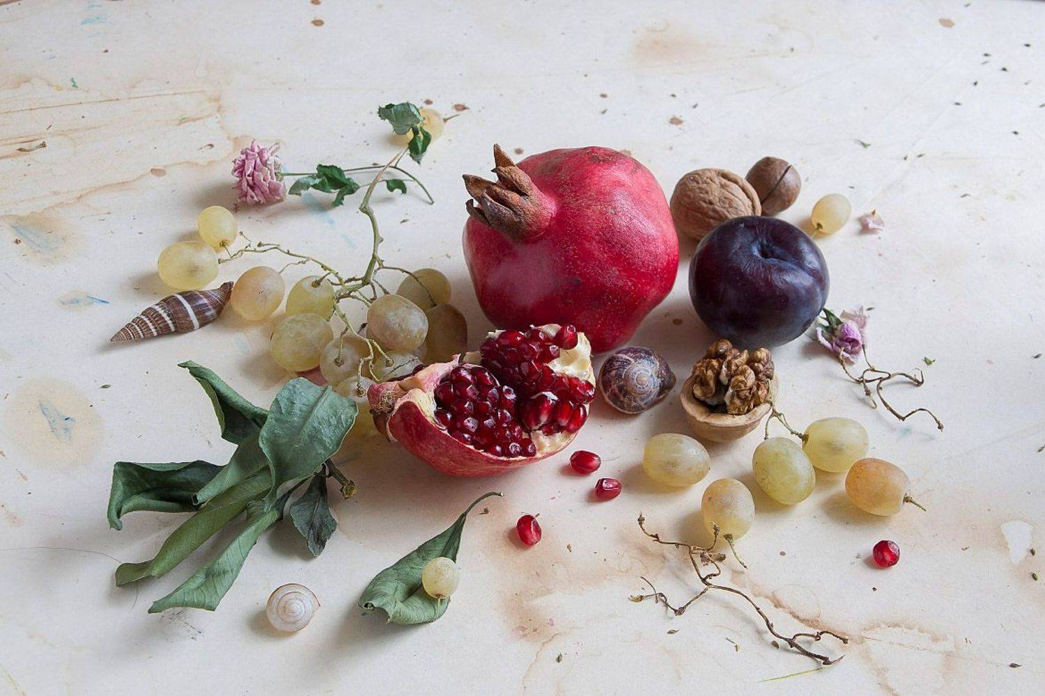 гранат, фрукты, натюрморт, Колеснева Елена