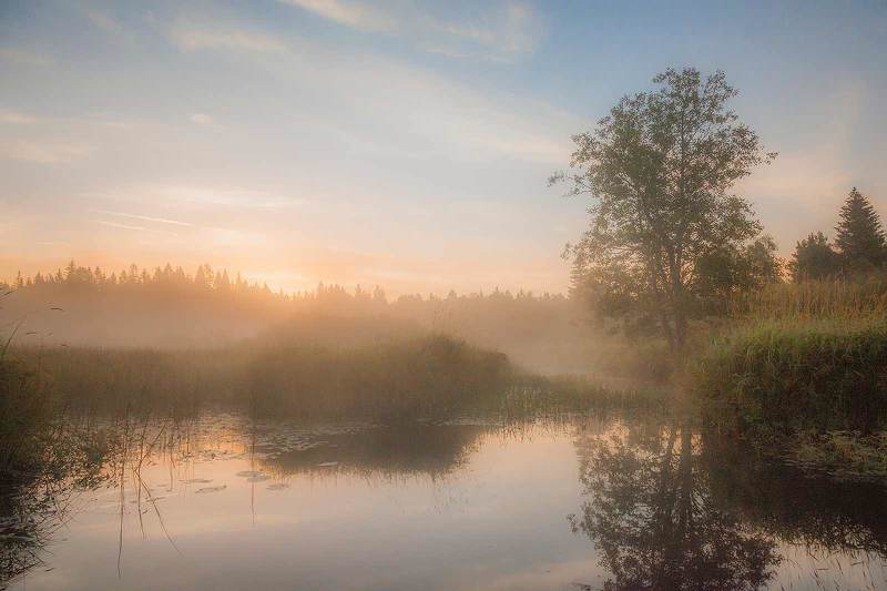 Утренний пейзаж фото превью