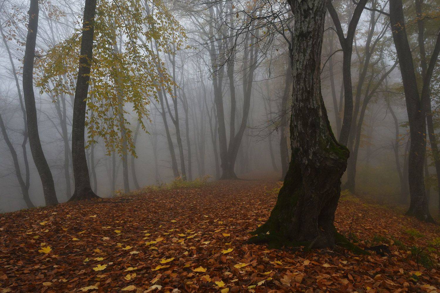 кизиловка, кабардино-балкария, Хасан Журтов