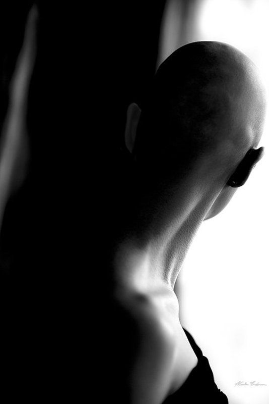 into the light фото превью