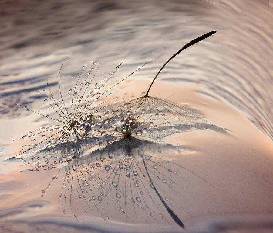 , Таня  Маркова