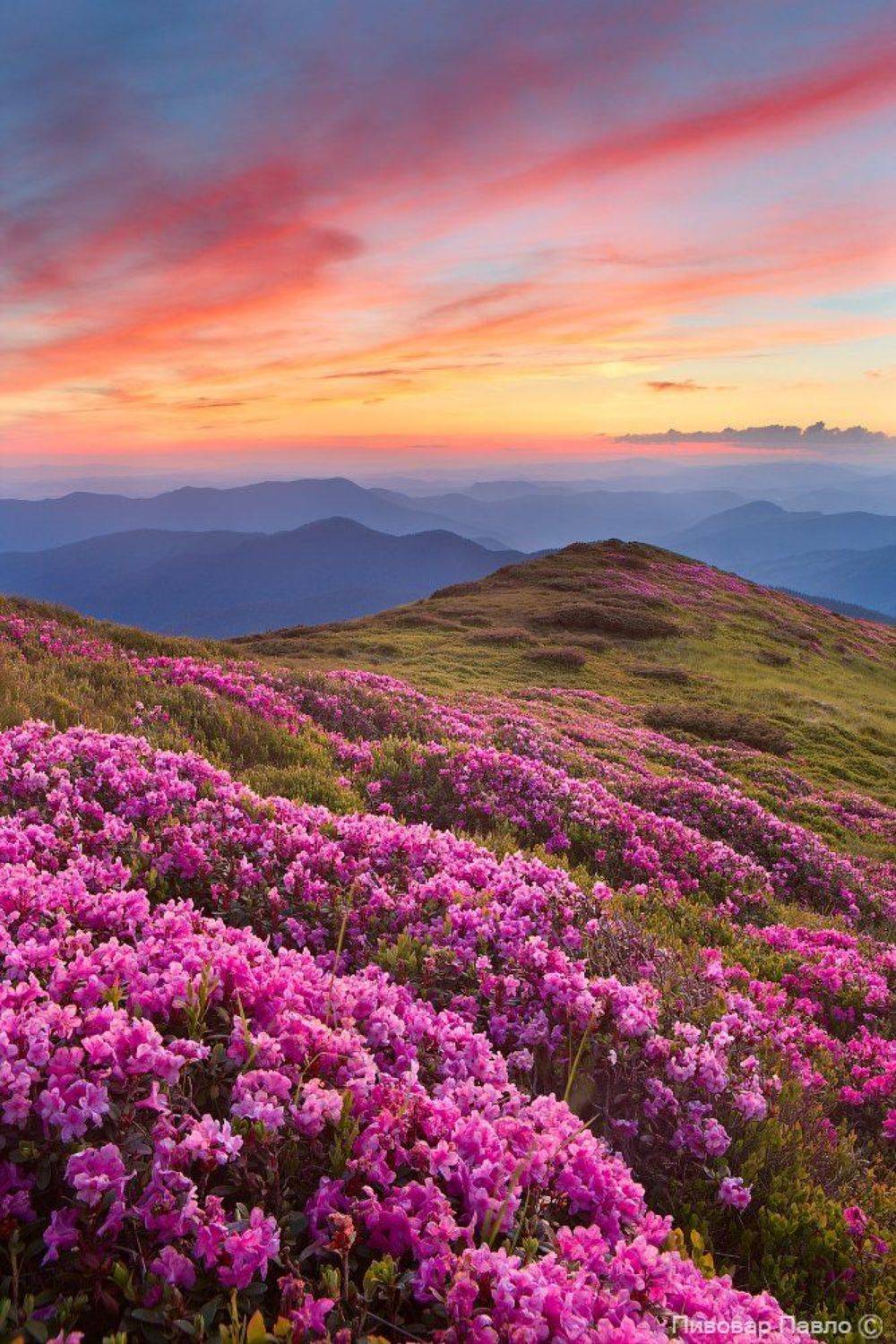 , Павло Пывовар Фотограф