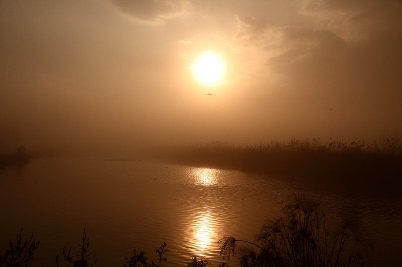 Утро.. фото превью