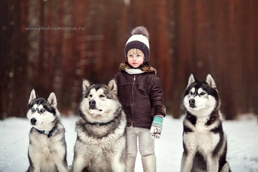 , Ирина Амосова