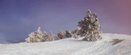 Метель