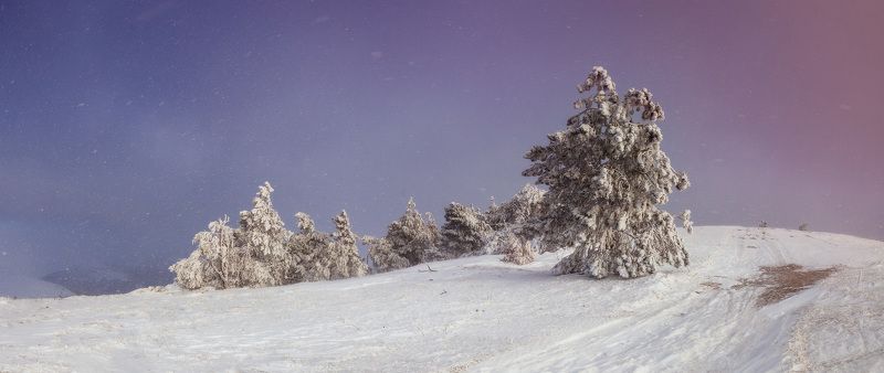 Демерджи, Зима, Крым, Снег Метель фото превью