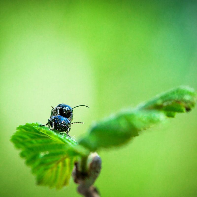 Без названия фото превью