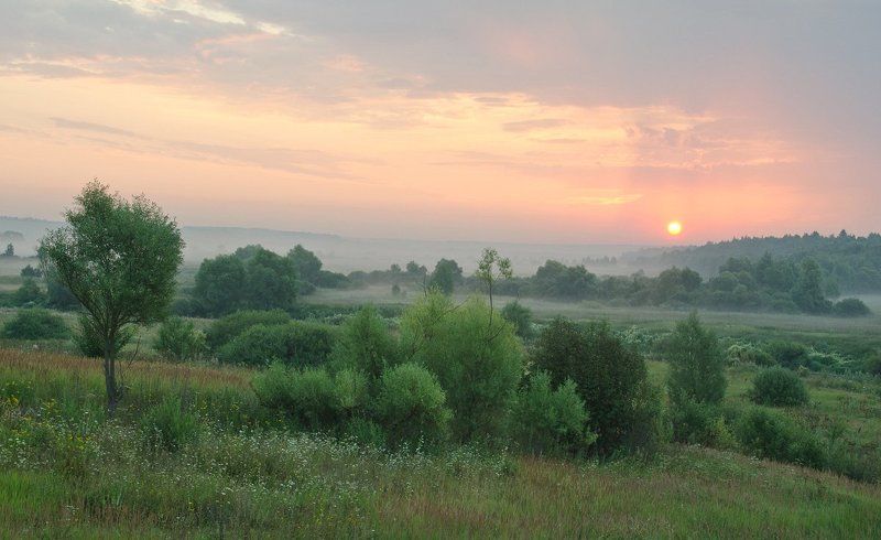Край рассветов и туманов фото превью