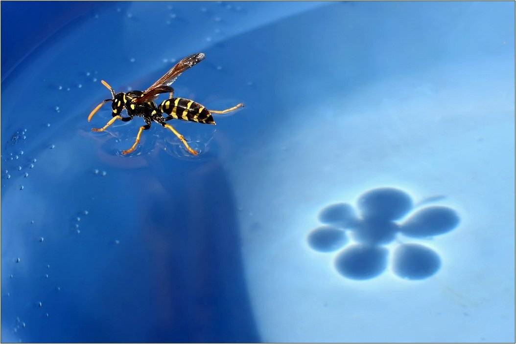 , Сергей Фудиненко