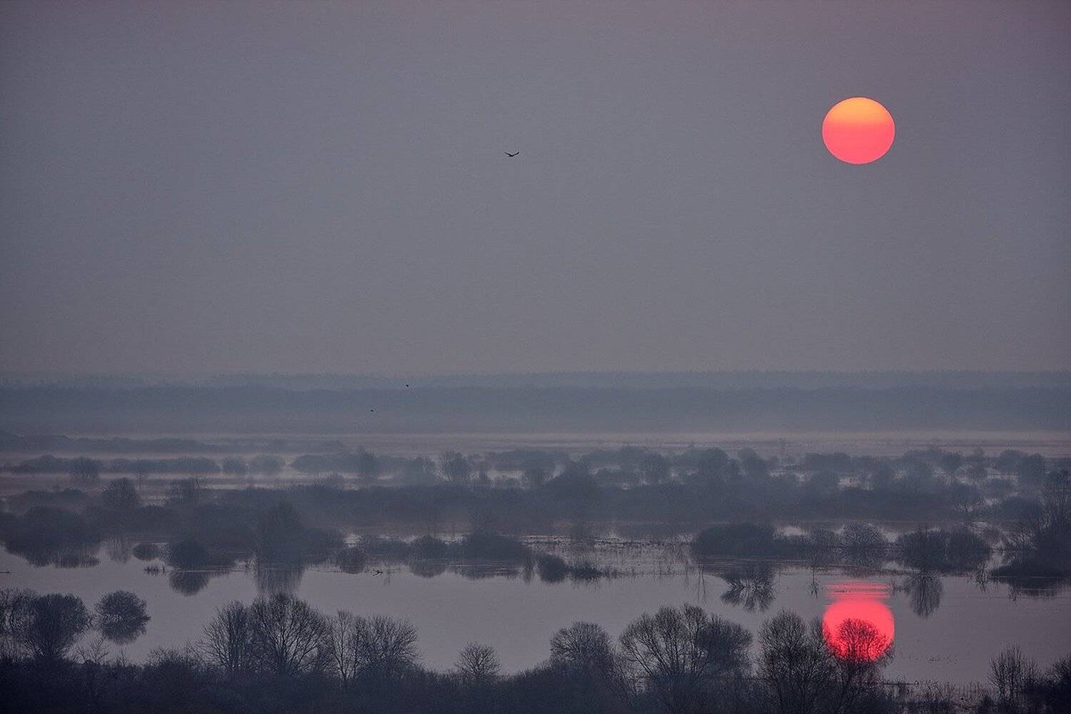 , Юрий Сорокин