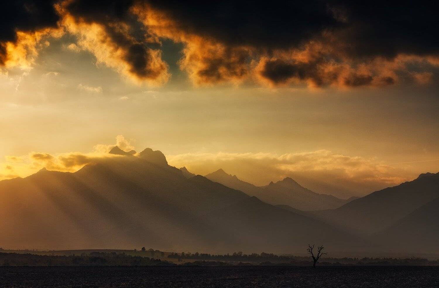 , Pawel Uchorczak