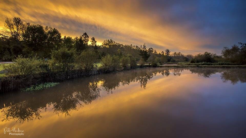 , Paulo Mendon&ccedil;a