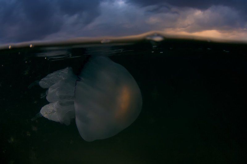 Закат, Корнерот, Медуза, Подводная съемка, Сплит, Черное море в преддверии грозы фото превью