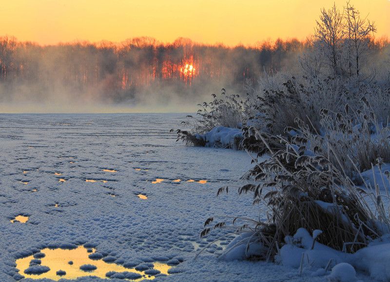Рассветное золото... фото превью