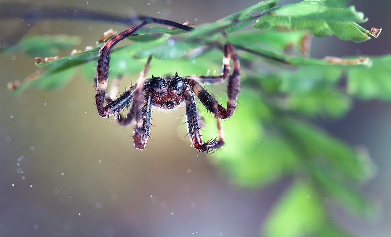 Вверх тормашками. фото превью