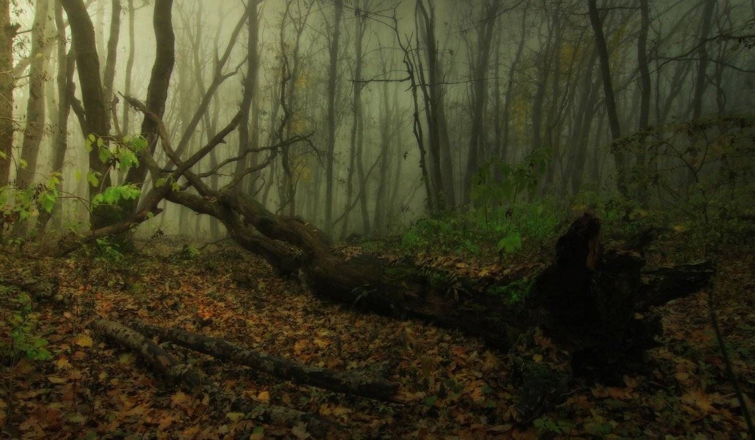 , Михаил  Пилипенко