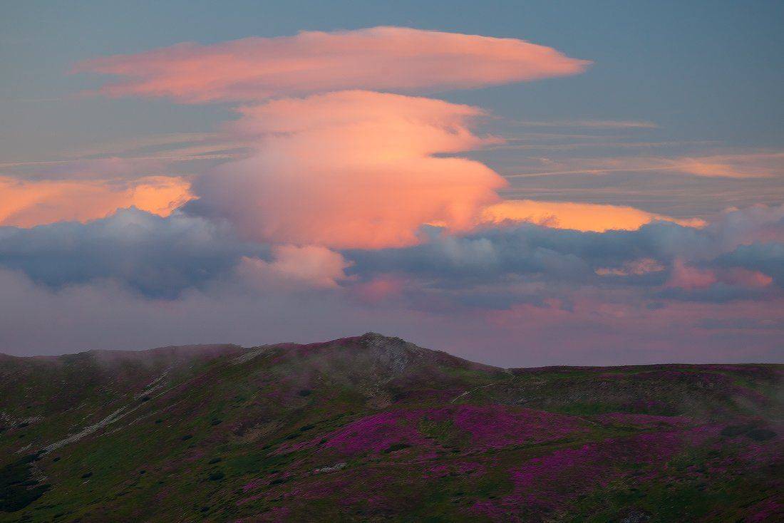 , Ярослав Тюрменко (Jaremi)