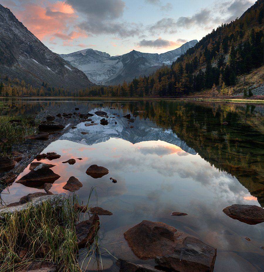 , Алексей Родак