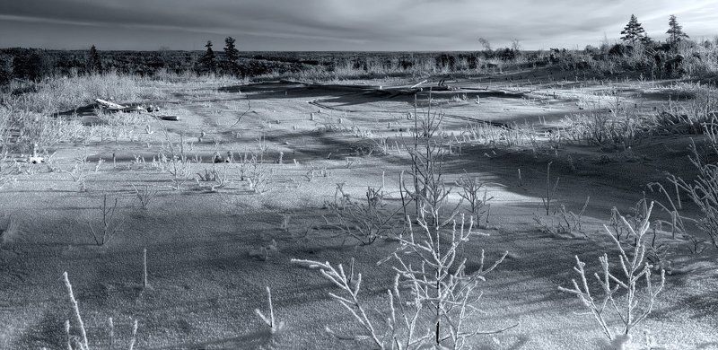 ~126~ фото превью