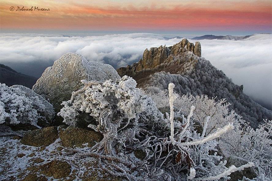 , Ловиков Михаил