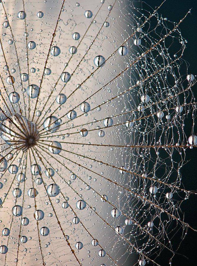 , Таня  Маркова