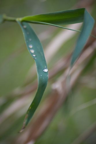 One drop left ...
