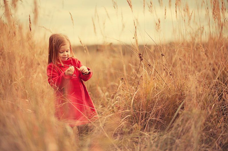 детский фотограф, Наталья Блицена, kids cute  В поле.  фото превью
