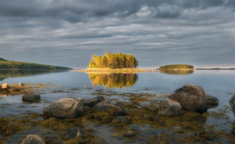 Белое море, Кандалакшский заповедник, Мурманская область Кандалакшский заповедник. фото превью
