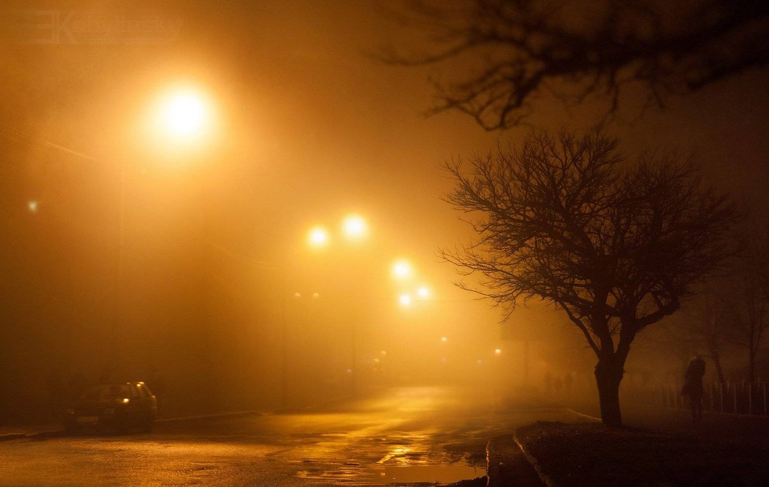 , Yevhen Kobylinskyi