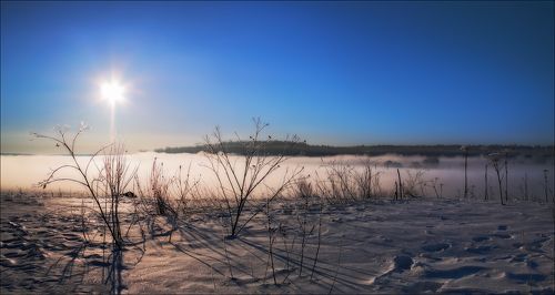 Контрасты зимы