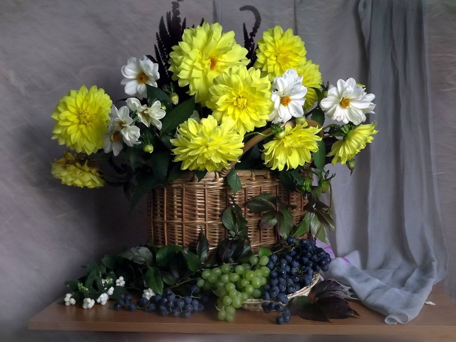 корзина с цветами , натюрморт с цветами , осенние цветы, Вера