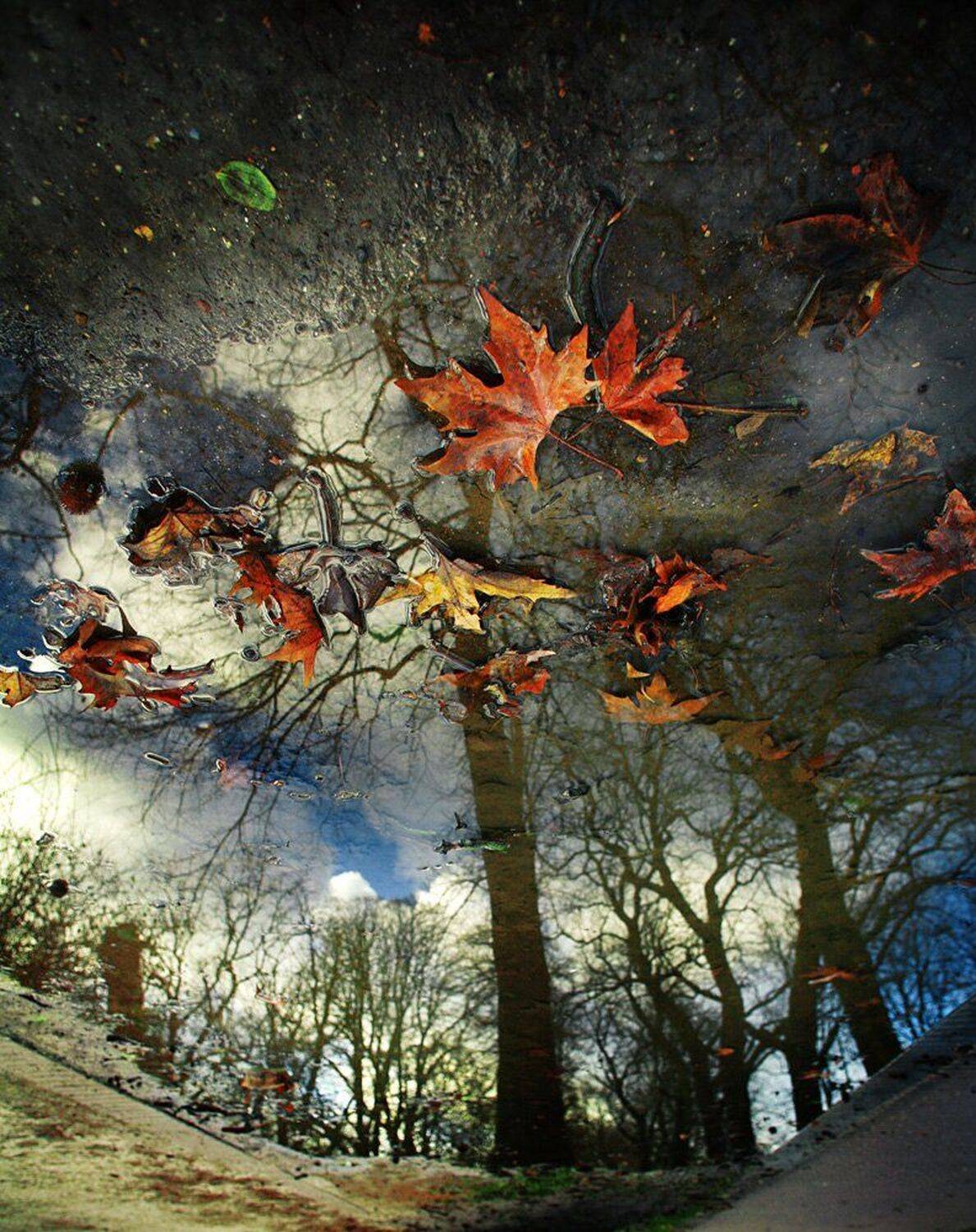 , Михалюк Сергей