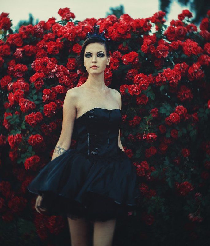 *** фото превью