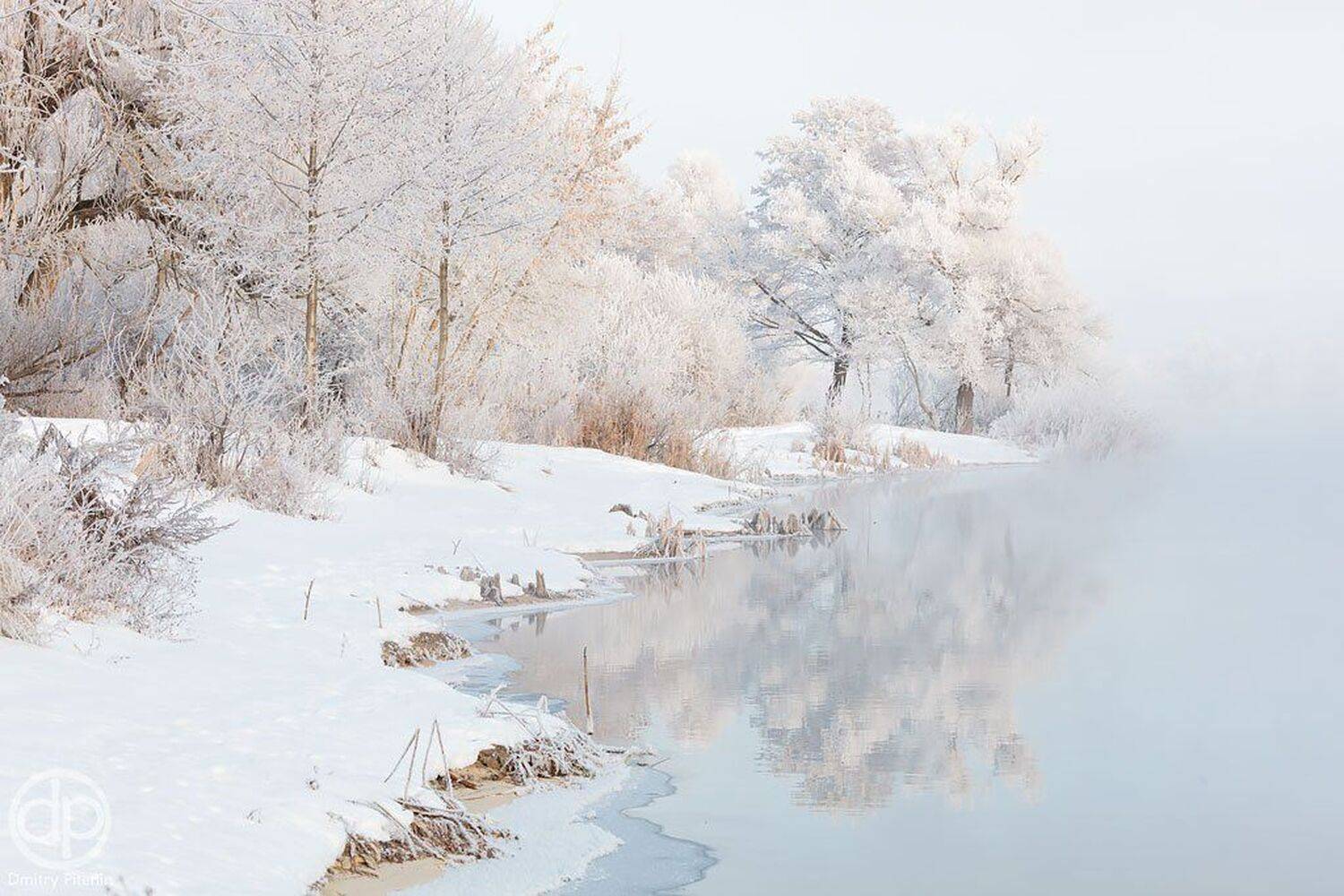 , Питенин Дмитрий