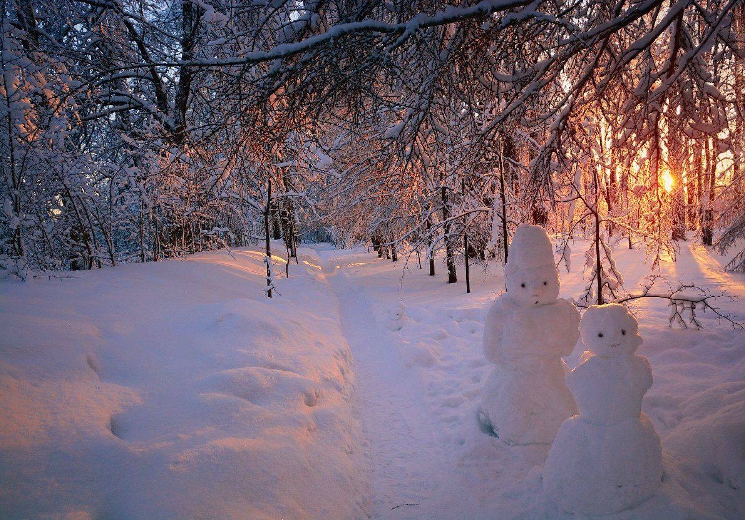 , Марина Никифорова