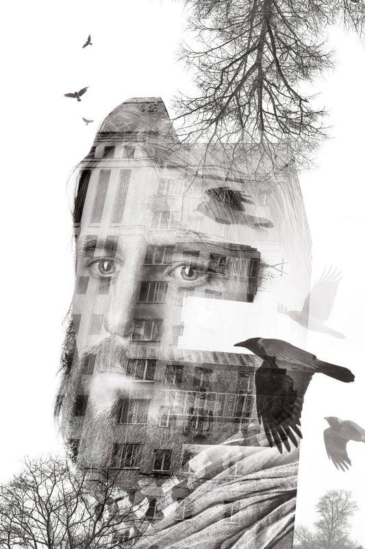 Scape. фото превью