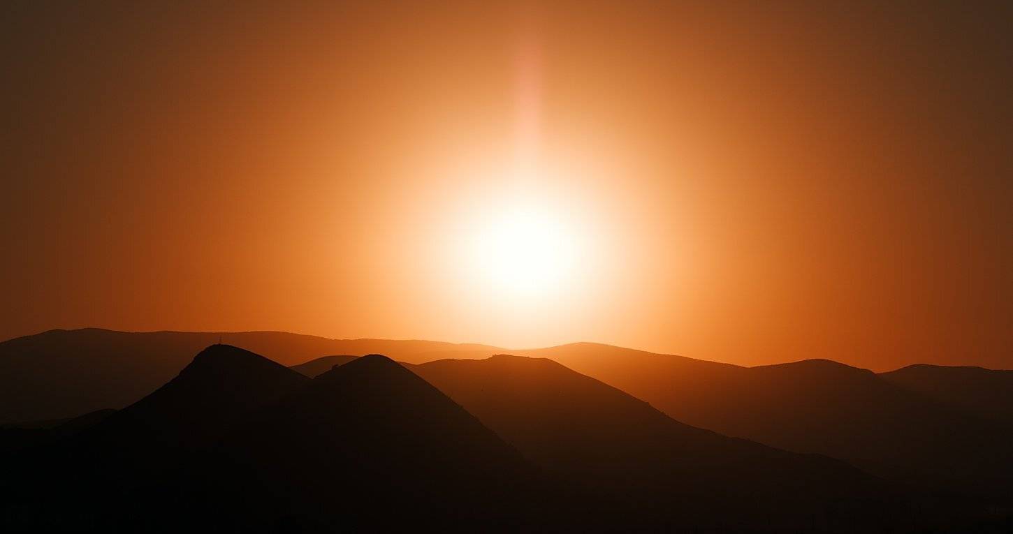 , Алексей Горохов